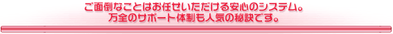 ���ʓ|�Ȃ��Ƃ͂��C��������������S�̃V�X�e���B���S�̃T�|�[�g�̐����l�C�̔錍�ł��B