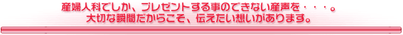 ���܂łɂȂ������V�����Y�w�l�Ȃ̎p�B�I�M���[�b�c��������̈�@�v�����[�V�������������܂��B