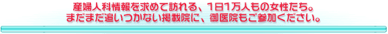 �D�P�\���R�̏��������֒��ڈ�@�o�q�B�Y�w�l�Ȃo�q�̐V�����������ł��B