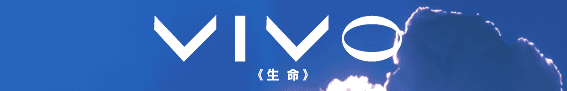 VIVO<����>