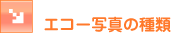 �G�R�[�ʐ^�̎��