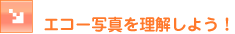 �G�R�[�ʐ^�𗝉����悤�I