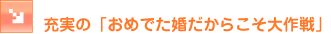 �[���́u���߂ł��������炱������v