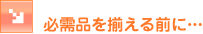 �K���i�𑵂��邽�߂Ɂc