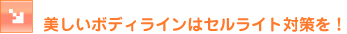 �������{�f�B���C���̓Z�����C�g�΍���I