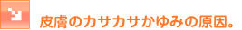 �畆�̃J�T�J�T����݂̌����B