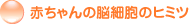 �Ԃ����̔]�זE�̃q�~�c