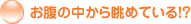�����̒����璭�߂Ă�I�H