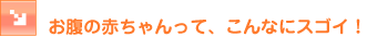 �����̐Ԃ������āA����ȂɃX�S�C�I