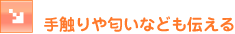 ��G�������Ȃǂ��`����