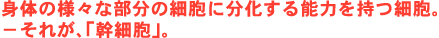 �g�̗̂l�X�ȕ����̍זE�ɕ�������\�͂����זE�B�[���ꂪ�u���זE�v�B